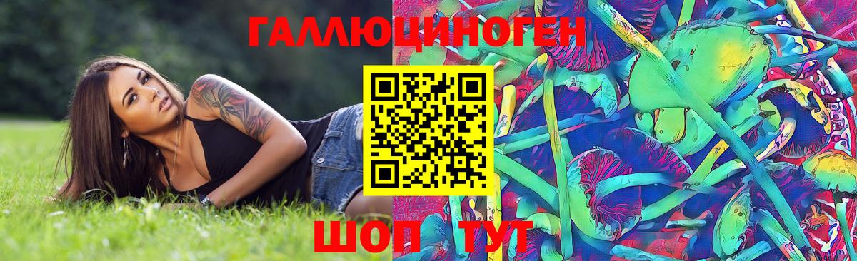 Псилоцибиновые грибы Cubensis Заводоуковск