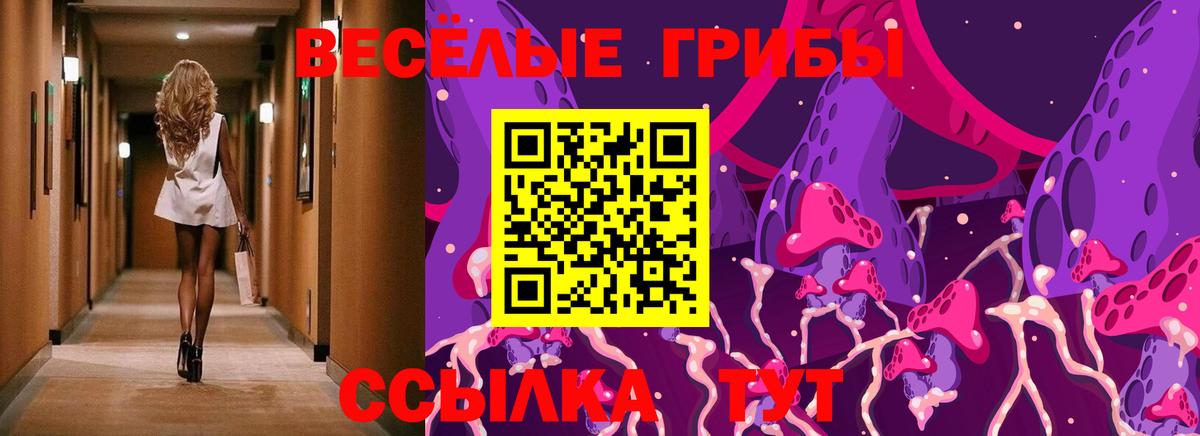 Заводоуковск  Псилоцибиновые грибы GOLDEN TEACHER  Галлюциногенные грибы GOLDEN TEACHER  Вход с VPN 